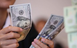 Tỷ giá USD hôm nay 11/9: Tỷ giá trung tâm ở mức 25.596 đồng
