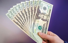 Tỷ giá USD hôm nay 15/9: Tỷ giá trung tâm ở mức 25.617 đồng