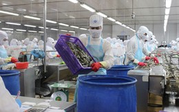 Doanh nghiệp sản xuất ưu tiên tăng năng suất hơn mở rộng nhân sự