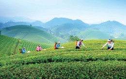 Đường sắt mở tuyến tàu du lịch Hà Nội - Thái Nguyên, kết nối trải nghiệm văn hóa trà