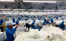 Kim ngạch thương mại Việt Nam - Nhật Bản có thể đạt gần 60 tỷ USD