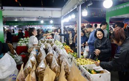 Hải Phòng tổ chức hội chợ thương mại điện tử, kết nối vùng, mở rộng thị trường