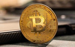 Giá Bitcoin hôm nay 25/9: Dòng tiền quy mô lớn tiếp thêm động lực cho Bitcoin