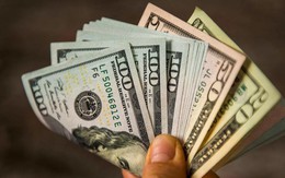 Tỷ giá USD hôm nay 25/9: Tỷ giá trung tâm ở mức 25.641 đồng