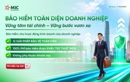 Quản trị rủi ro doanh nghiệp: "lá chắn" 12 lớp bảo vệ của MIC giúp doanh nghiệp an tâm vươn tầm
