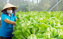 Hà Nội: Quỹ Hỗ trợ nông dân đạt hơn 944 tỷ đồng