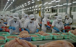 Ấn Độ chiếm hơn 15% thị phần thủy sản nhập khẩu của Việt Nam