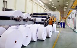 Xuất khẩu giấy và các sản phẩm từ giấy đạt 238,54 triệu USD