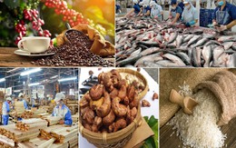 Nhiều chính sách kinh tế mới có hiệu lực từ tháng 10