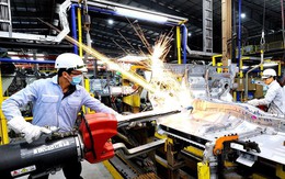 Chỉ số IIP 8 tháng cao nhất cùng kỳ nhiều năm