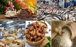 Xuất khẩu nông lâm thủy sản 8 tháng đạt gần 49,31 tỷ USD