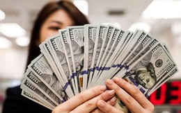 Tỷ giá USD hôm nay 3/9: Tỷ giá trung tâm tăng 5 đồng