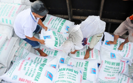 Việt Nam xuất khẩu hơn 1,9 triệu tấn phân bón, thu về hơn 1 tỷ USD