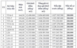 Hà Nội: Đấu giá quyền sử dụng đất đối với 29 thửa tại xã Hát Môn và xã Gia Lâm