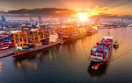 Thu ngân sách từ hoạt động xuất nhập khẩu 8 tháng đạt hơn 352 nghìn tỷ đồng