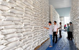 Cục Dự trữ Nhà nước tổ chức bán đấu giá hơn 128.000 tấn gạo dự trữ quốc gia