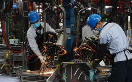 64% doanh nghiệp châu Âu có kế hoạch mở rộng kinh doanh tại Việt Nam