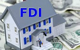Tư vấn pháp luật: Loại hình doanh nghiệp FDI theo luật Việt Nam