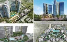 “Ông lớn" xây dựng chuyển nhượng dự án khi chưa được chính quyền chấp thuận