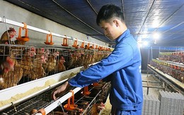 Đại diện chính quyền không được ép người dân từ chối nhận hỗ trợ Covid-19