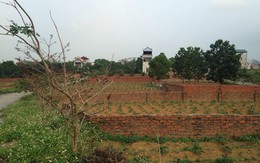 Một tuần tăng giá gấp 3, tranh nhau mảnh đất ven đô đầy cỏ dại