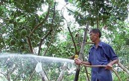 Chung sức xây dựng Thủ đô giàu đẹp