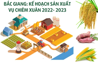 Bắc Giang: Kế hoạch sản xuất vụ Chiêm Xuân 2022-2023