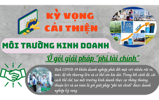 Kỳ vọng cải thiện môi trường kinh doanh ở gói giải pháp "phi tài chính"