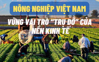 Nông nghiệp Việt Nam vững vai trò “trụ đỡ” của nền kinh tế