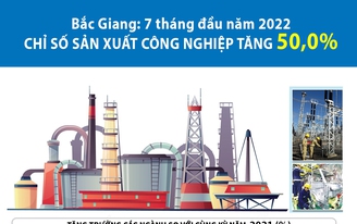 7 tháng đầu năm, chỉ số sản xuất công nghiệp Bắc Giang tăng 50%