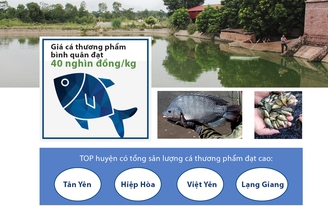 Bắc Giang: Diện tích sản xuất thuỷ sản theo tiêu chuẩn VietGap đạt hơn 32%
