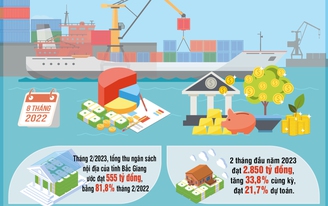 Bắc Giang: Hai tháng đầu năm 2023, tổng thu ngân sách nội địa tăng 33,8%