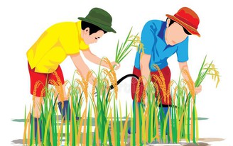 Bắc Giang: Tiến độ gieo trồng vụ Chiêm xuân đảm bảo khung thời vụ