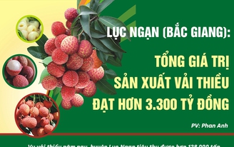 Huyện Lục Ngạn: Tổng giá trị sản xuất vải thiều đạt hơn 3.300 tỷ đồng