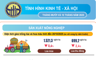 Nhiều điểm sáng trong bức tranh kinh tế tháng 10 và 10 tháng năm 2025