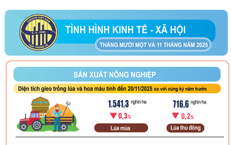 Kinh tế 11 tháng 2025: Tăng tốc bứt phá để đạt mục tiêu tăng trưởng GDP trên 8%