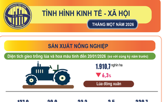Tháng 1/2026, kinh tế Việt Nam tiếp tục duy trì xu hướng tăng trưởng