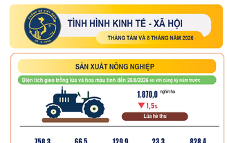Kinh tế 8 tháng năm 2026 tăng trưởng tích cực