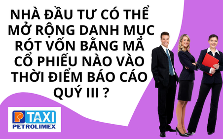Nhà đầu tư có thể mở rộng danh mục rót vốn bằng mã cổ phiếu nào vào thời điểm báo cáo quý III?