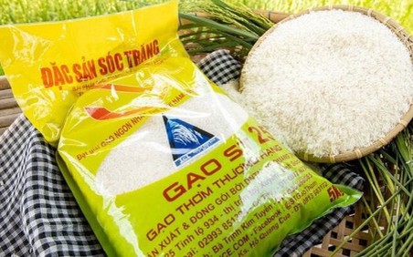 Gạo Việt Nam đạt danh hiệu gạo ngon nhất thế giới năm 2023