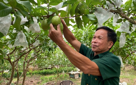 Người giữ hồn mật ngọt: Ba mươi năm và giấc mơ giữ nghề cho con cháu