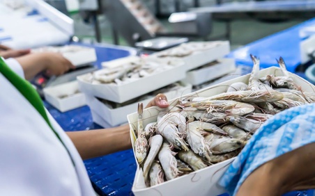 Xuất khẩu thủy sản sang Nhật Bản đạt gần 1,5 tỷ USD