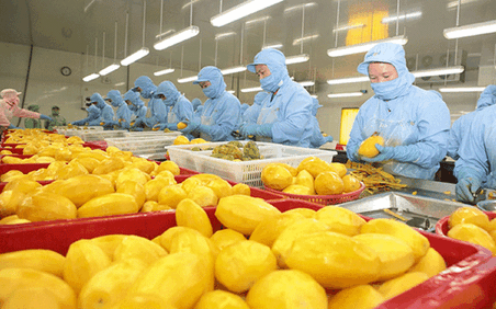 Xuất khẩu rau quả của Việt Nam tháng 1/2026 tăng 72,9%