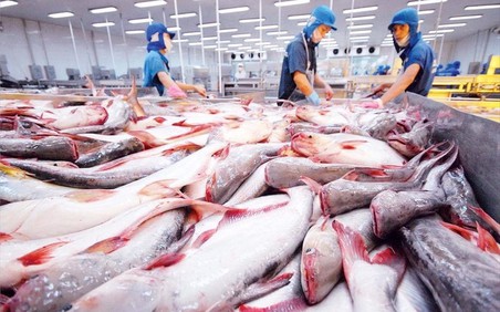 Xuất khẩu cá tra sang Nhật Bản tăng hơn 20%