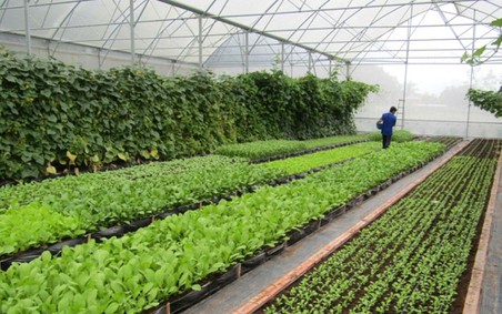Nguồn vốn xanh đầy tiềm năng vẫn chưa hoàn toàn được khơi thông