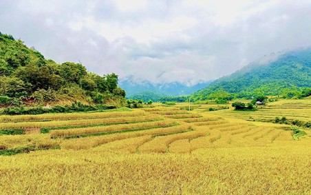 Chuyển đổi số - Đòn bẩy tạo bước ngoặt cho nông nghiệp Thanh Hóa