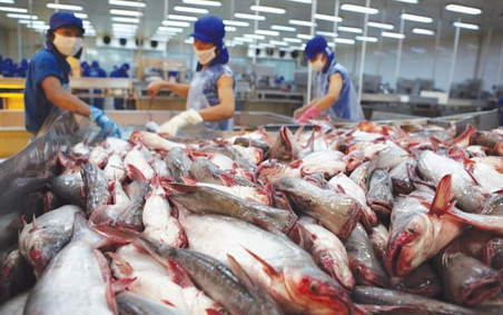 Xuất khẩu cá tra 11 tháng đã vượt mốc 2 tỷ USD, tăng 9% so với cùng kỳ