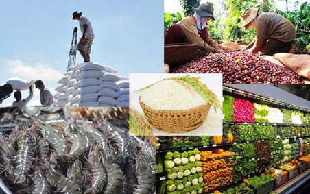 Ngành Nông nghiệp và Môi trường đạt mức tăng trưởng cao nhất trong nhiều năm qua