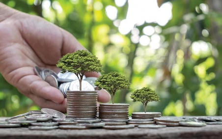 Tín dụng xanh tăng trưởng cả về lượng và chất