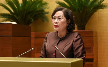 Đề xuất cho Ngân hàng Nhà nước thẩm quyền quyết định cho vay đặc biệt